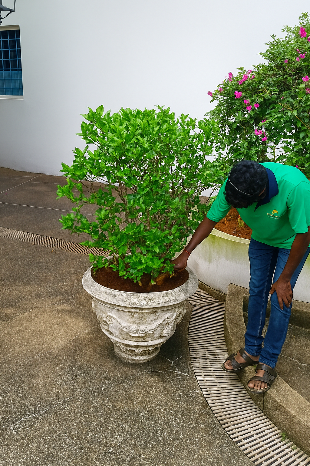 Soil Preparation Services